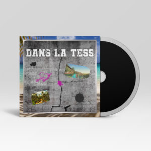 Cover single Dans la Tess